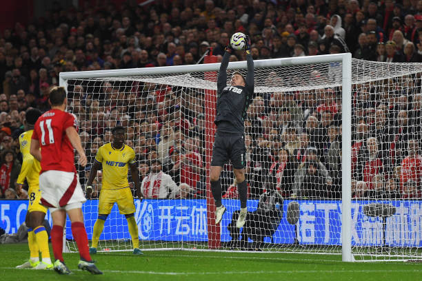 许多成功范 许多成功范